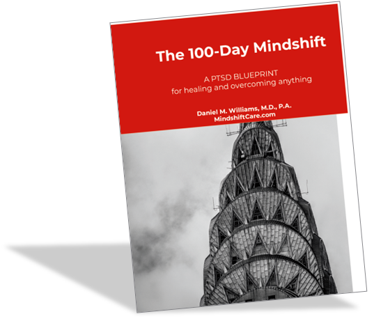 A red book with the cover of the 1 0 0-day mindshift.