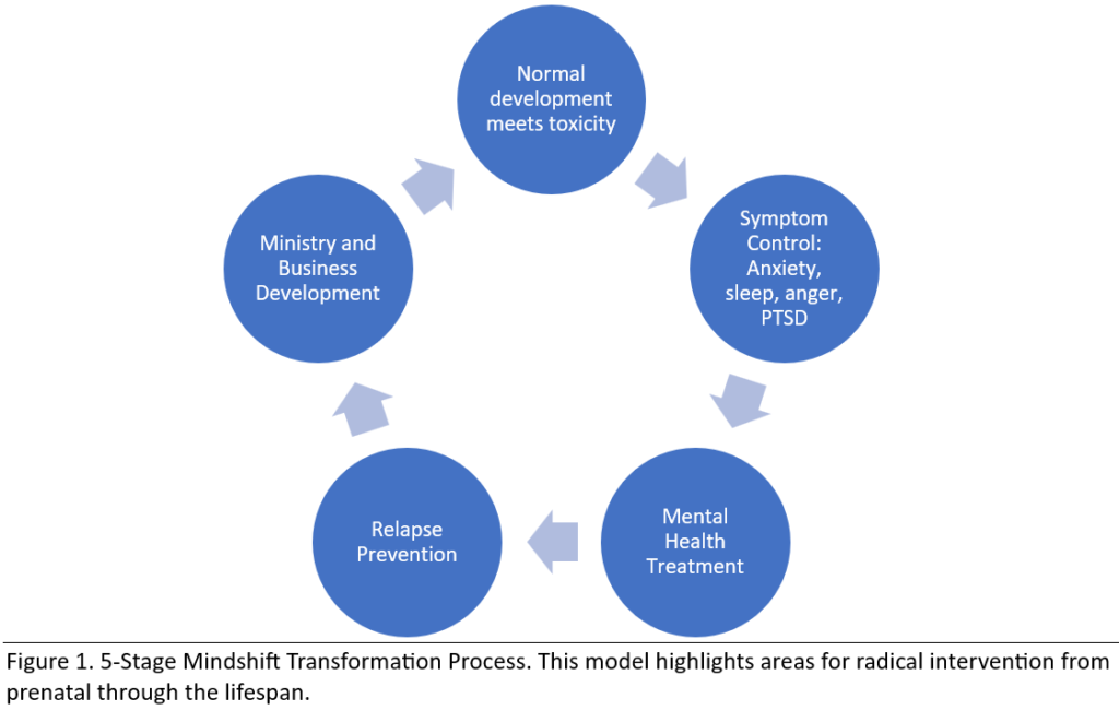 5 Stage Mindshift Transformation Process